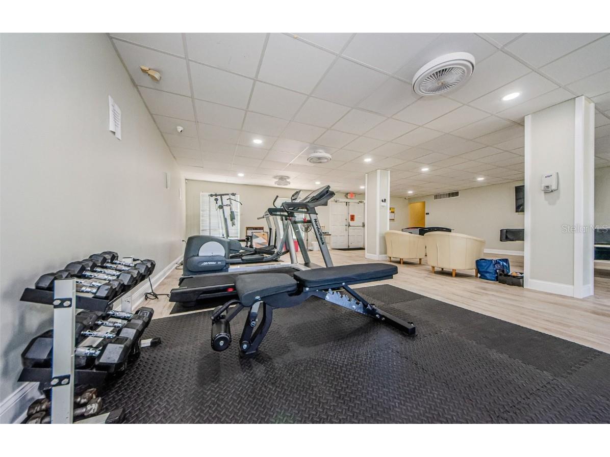 2700 Bayshore Boulevard #555 Dunedin FL 34698 TB8456202 image35