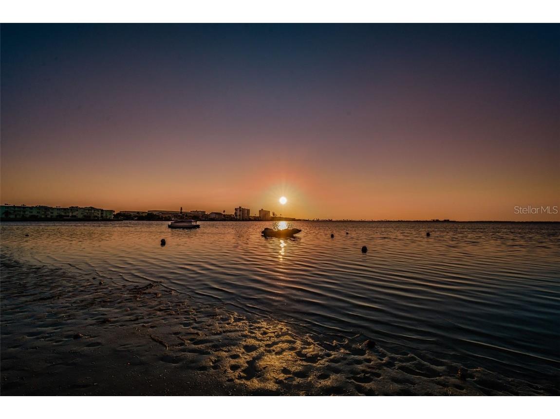 2700 Bayshore Boulevard #555 Dunedin FL 34698 TB8456202 image52