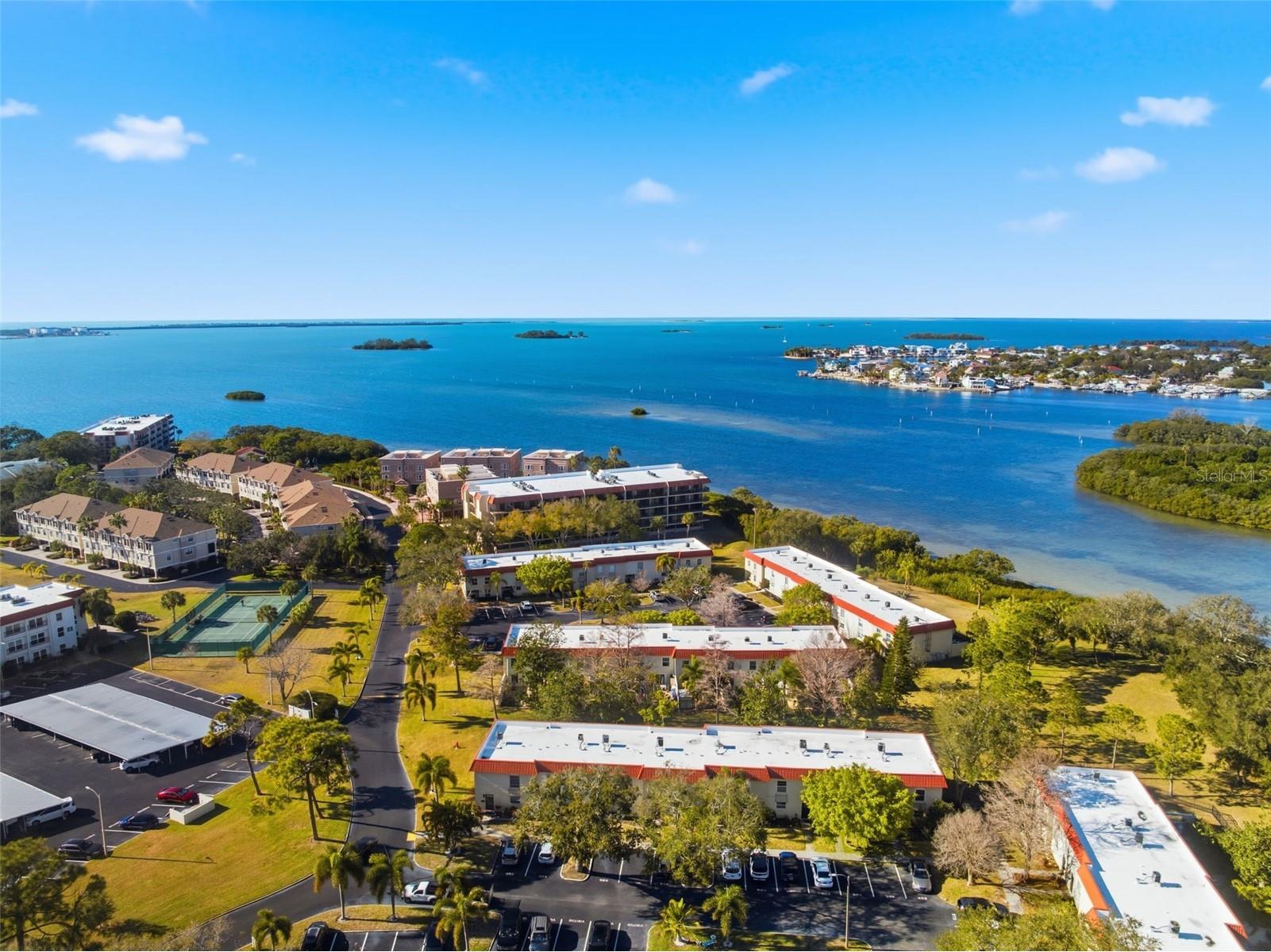 2700 Bayshore Boulevard #556 Dunedin FL 34698 W7882824 image20