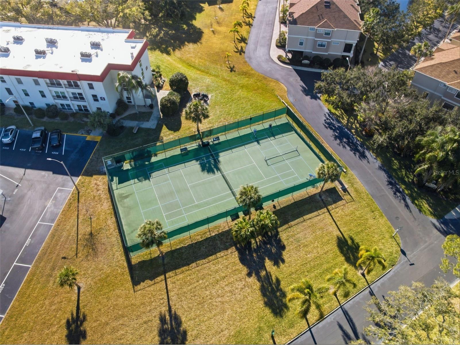 2700 Bayshore Boulevard #556 Dunedin FL 34698 W7882824 image22