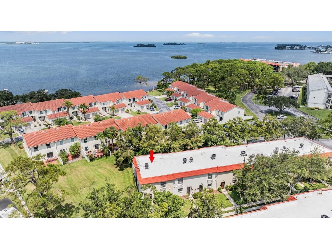 2700 Bayshore Boulevard #559 Dunedin FL 34698 U8253620 image1