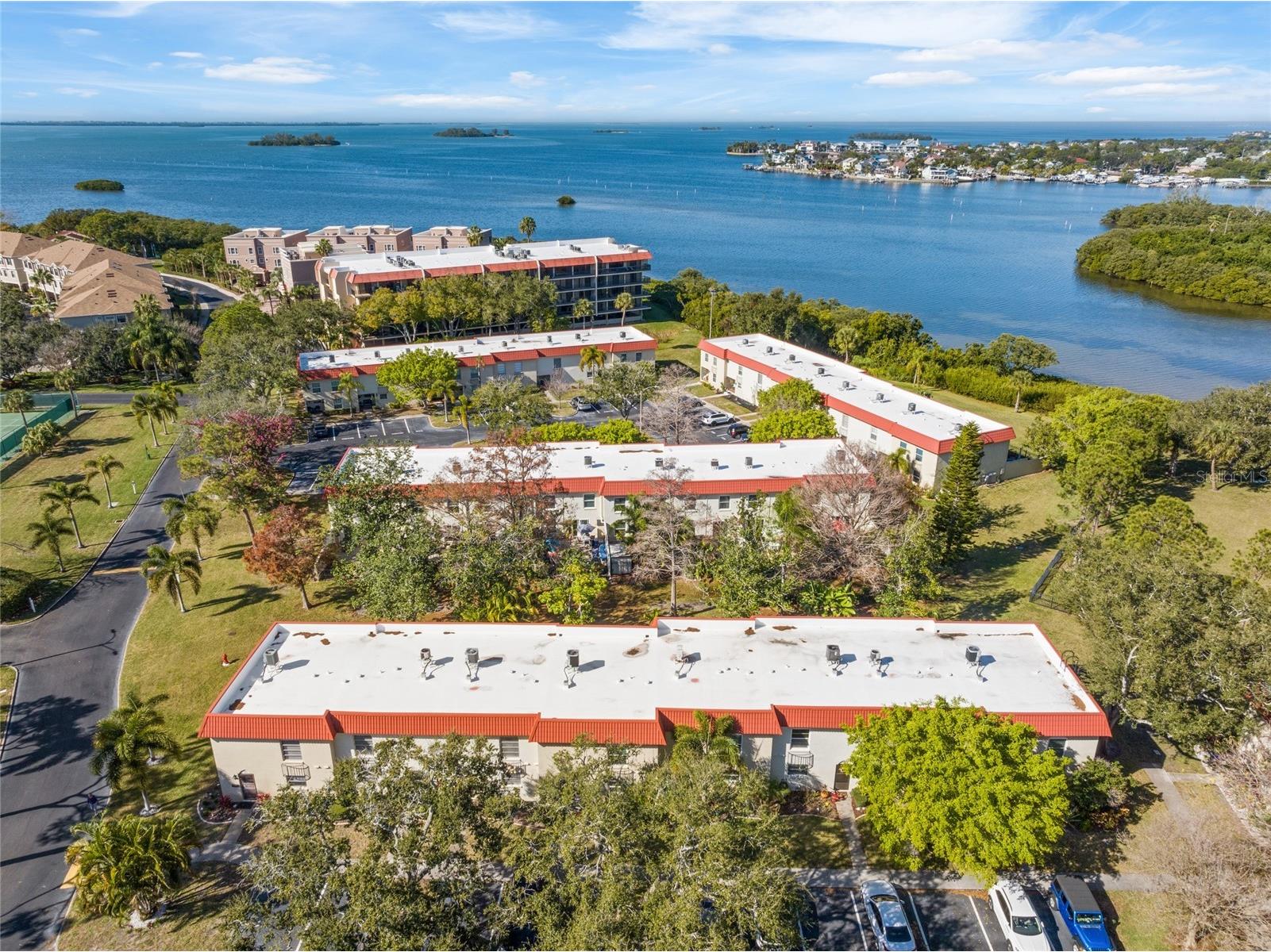 2700 Bayshore Boulevard #560 Dunedin FL 34698 TB8464236 image32