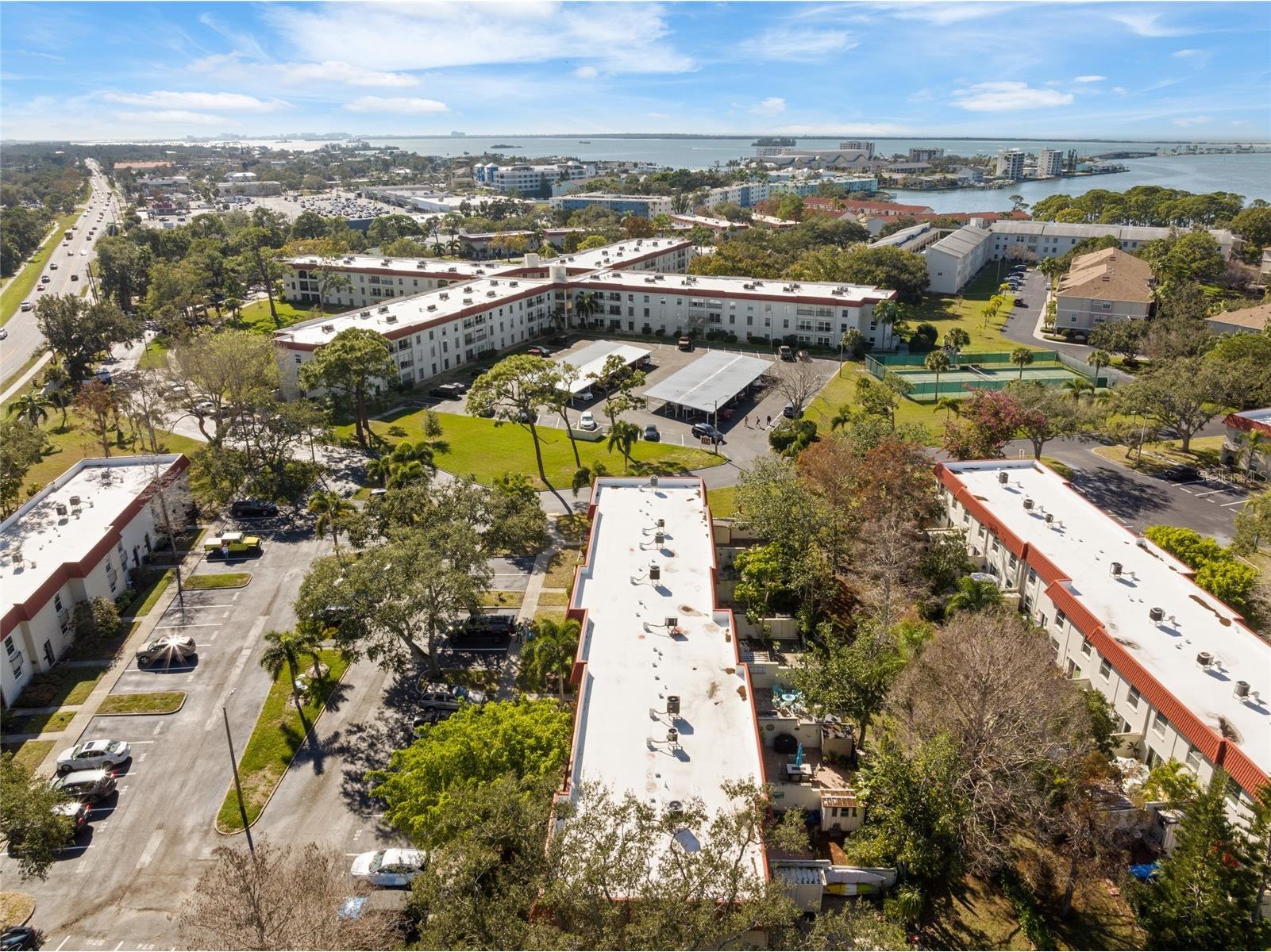 2700 Bayshore Boulevard #560 Dunedin FL 34698 TB8464236 image33