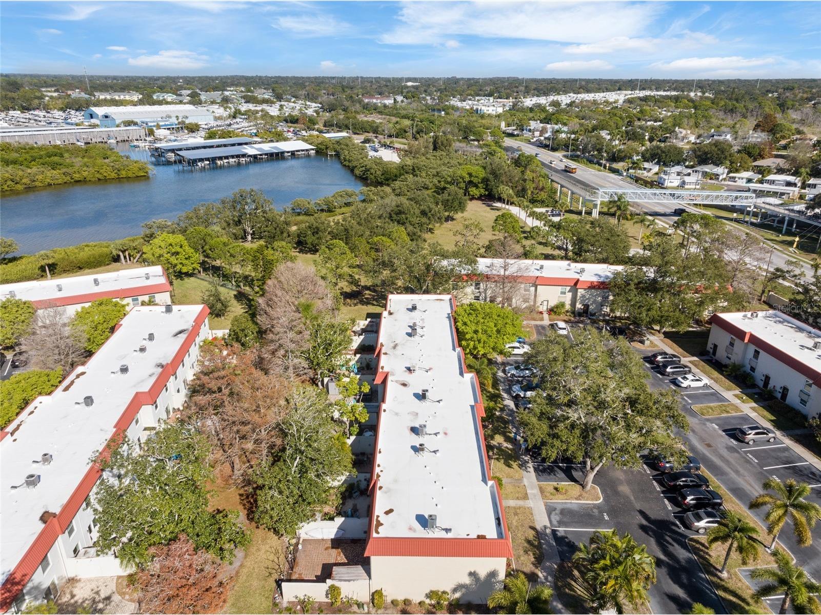 2700 Bayshore Boulevard #560 Dunedin FL 34698 TB8464236 image35