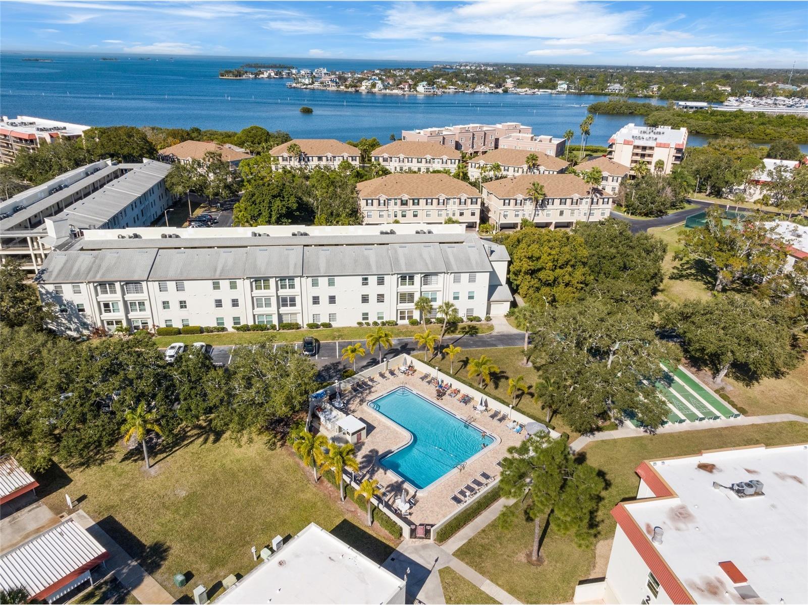 2700 Bayshore Boulevard #560 Dunedin FL 34698 TB8464236 image37
