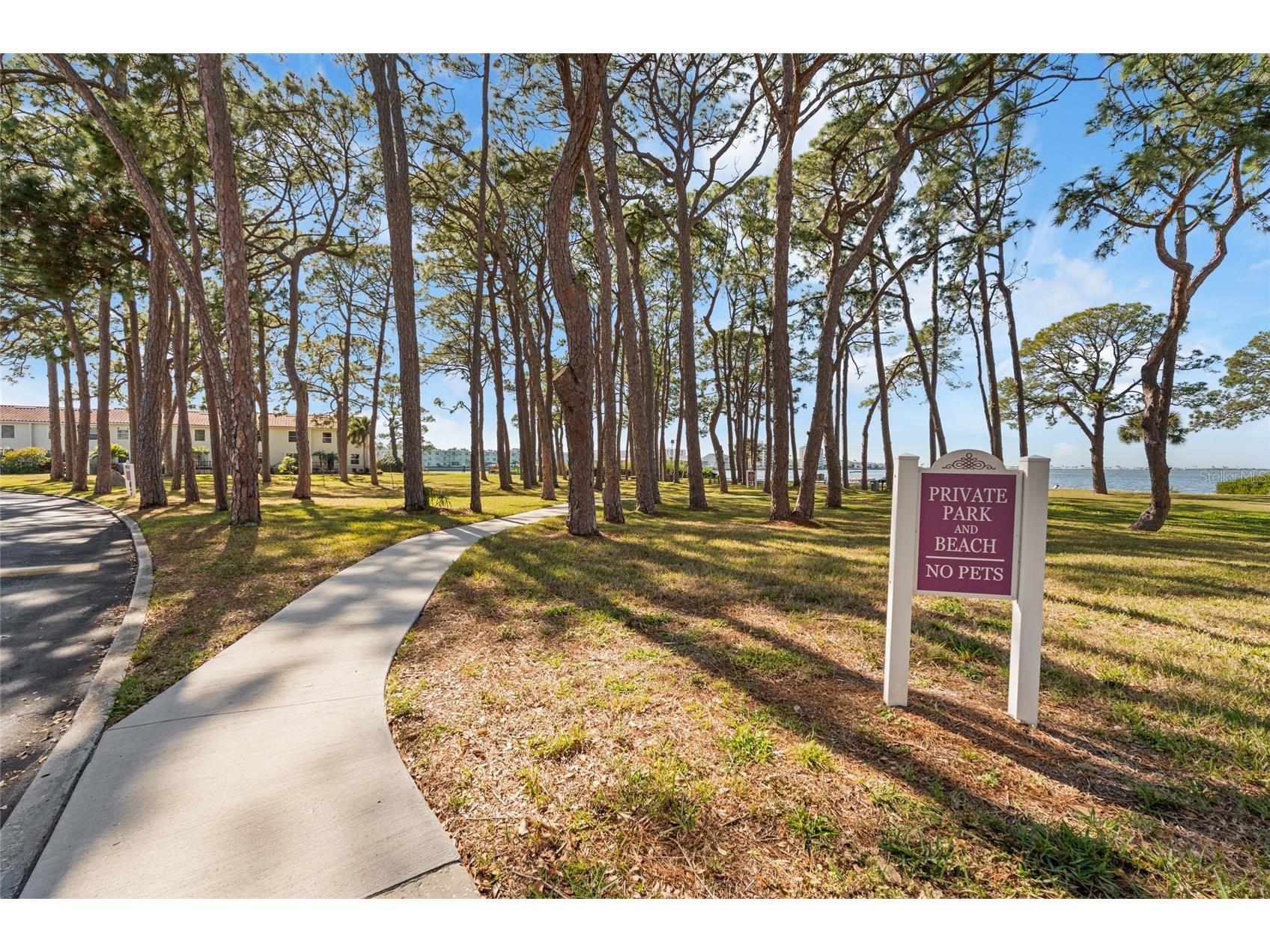 2700 Bayshore Boulevard #560 Dunedin FL 34698 TB8464236 image38