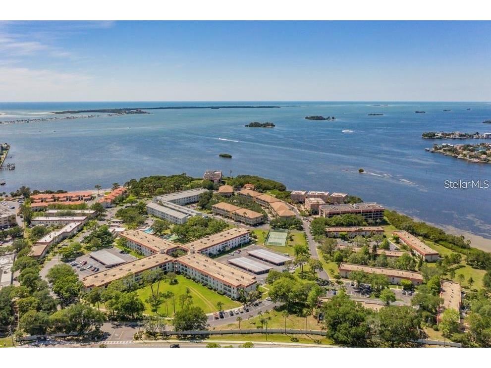 2700 Bayshore Boulevard #575 Dunedin FL 34698 TB8304729 image1