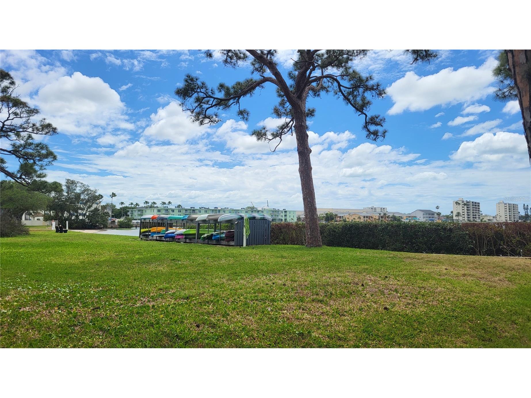 2700 Bayshore Boulevard #592 Dunedin FL 34698 TB8496622 image2