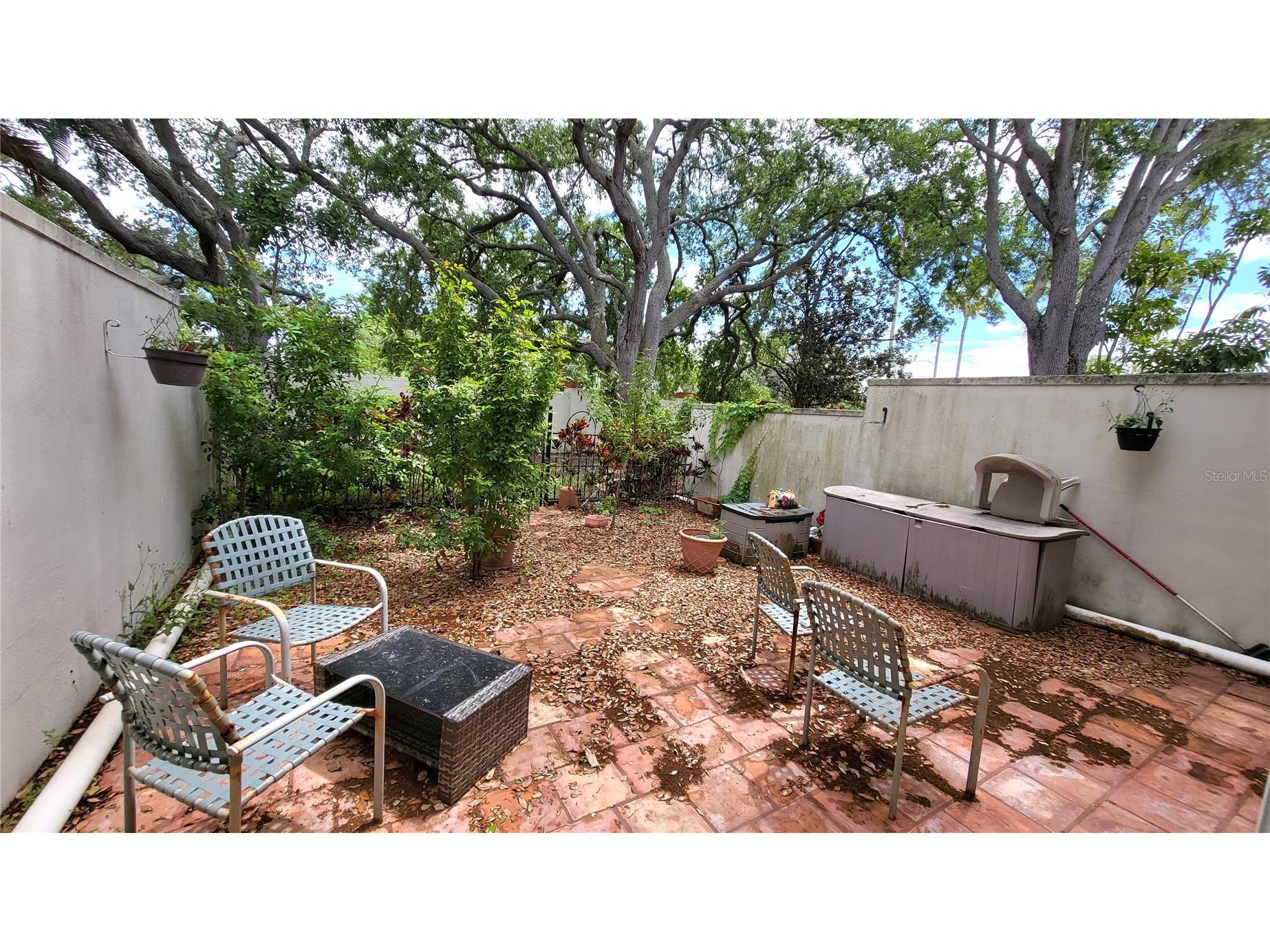 2700 Bayshore Boulevard #592 Dunedin FL 34698 TB8496622 image5