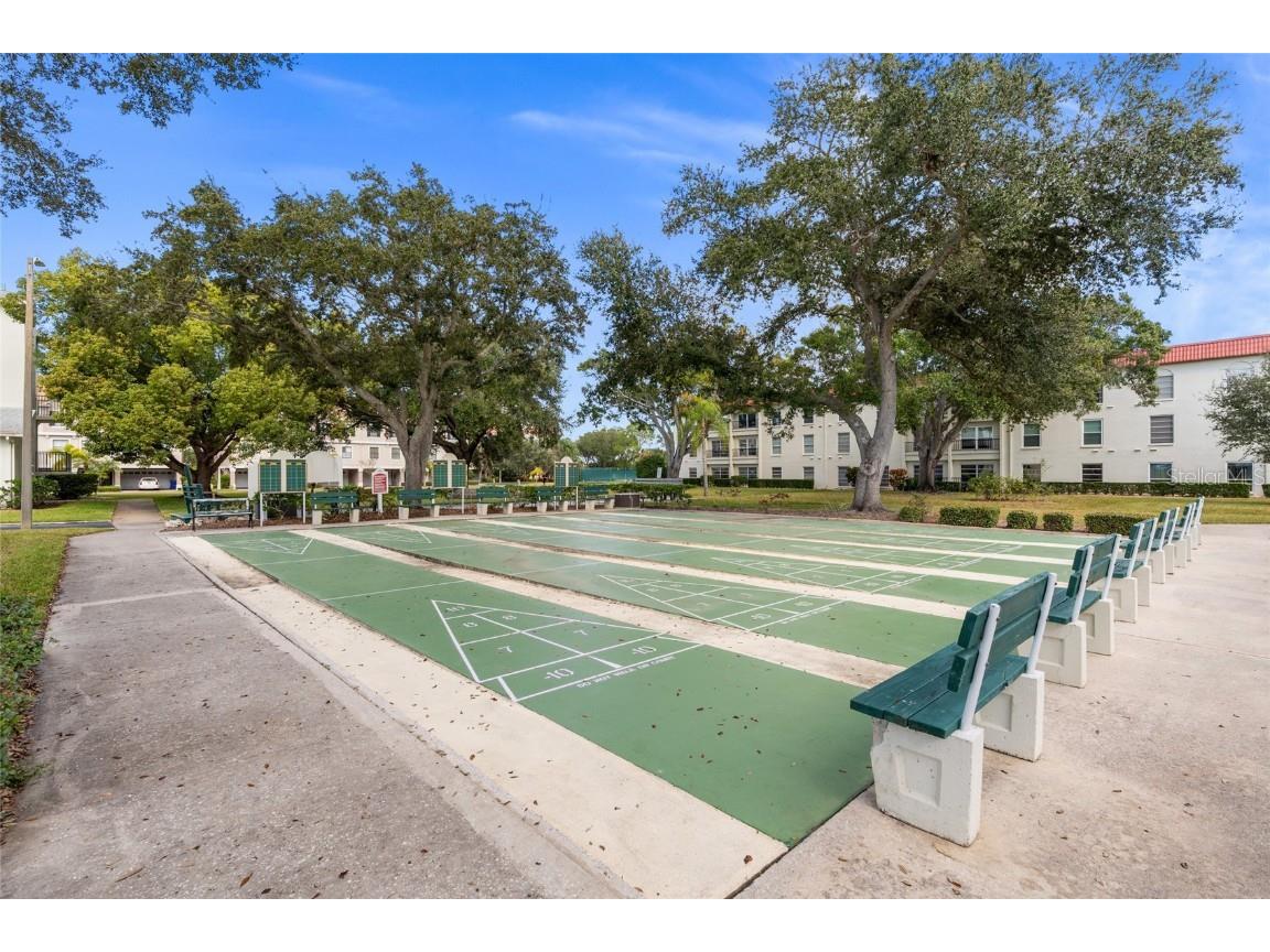 2700 Bayshore Boulevard #593 Dunedin FL 34698 TB8451733 image39