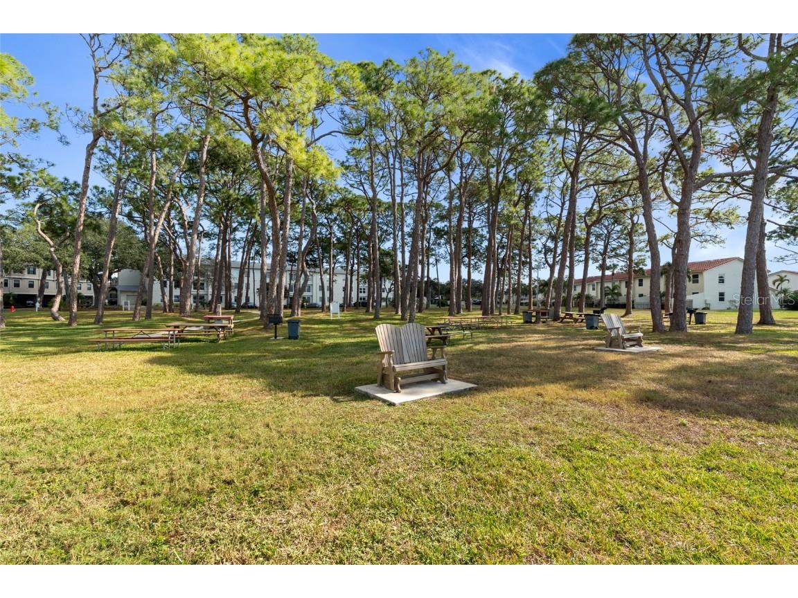 2700 Bayshore Boulevard #593 Dunedin FL 34698 TB8451733 image44