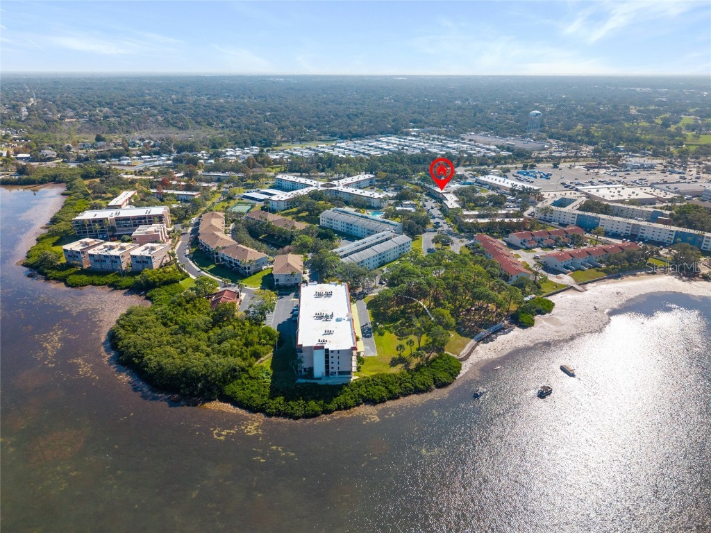 2700 Bayshore Boulevard #593 Dunedin FL 34698 TB8451733 image46