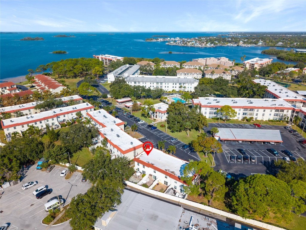 2700 Bayshore Boulevard #593 Dunedin FL 34698 TB8451733 image47