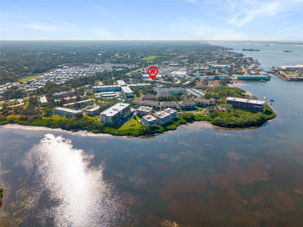 2700 Bayshore Boulevard #593 Dunedin FL 34698 TB8451733 image48