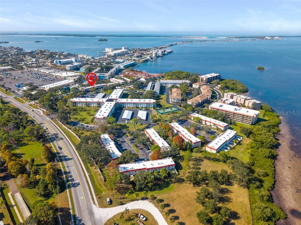 2700 Bayshore Boulevard #593 Dunedin FL 34698 TB8451733 image49