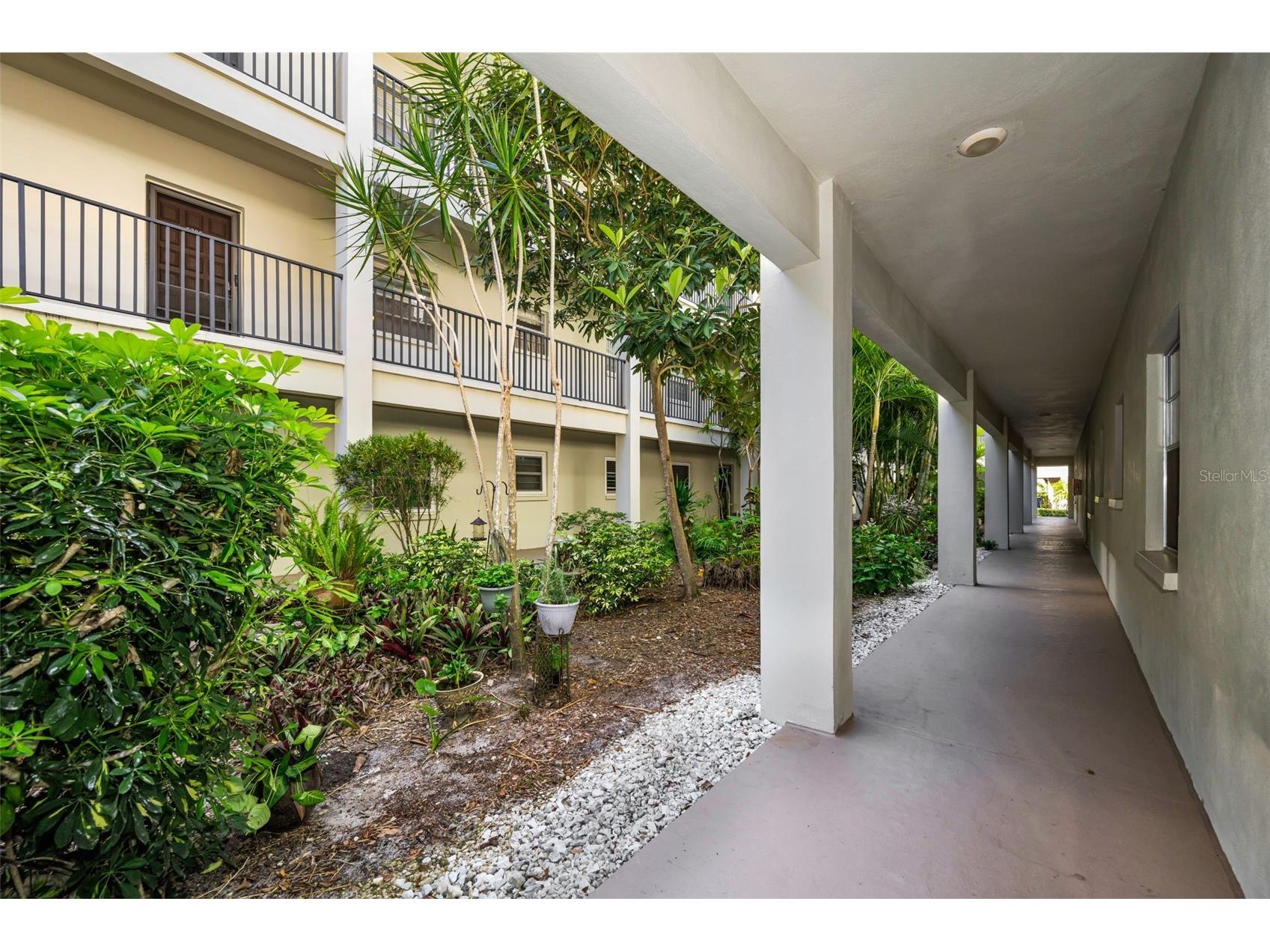 2700 Bayshore Boulevard #6107 Dunedin FL 34698 TB8496806 image1