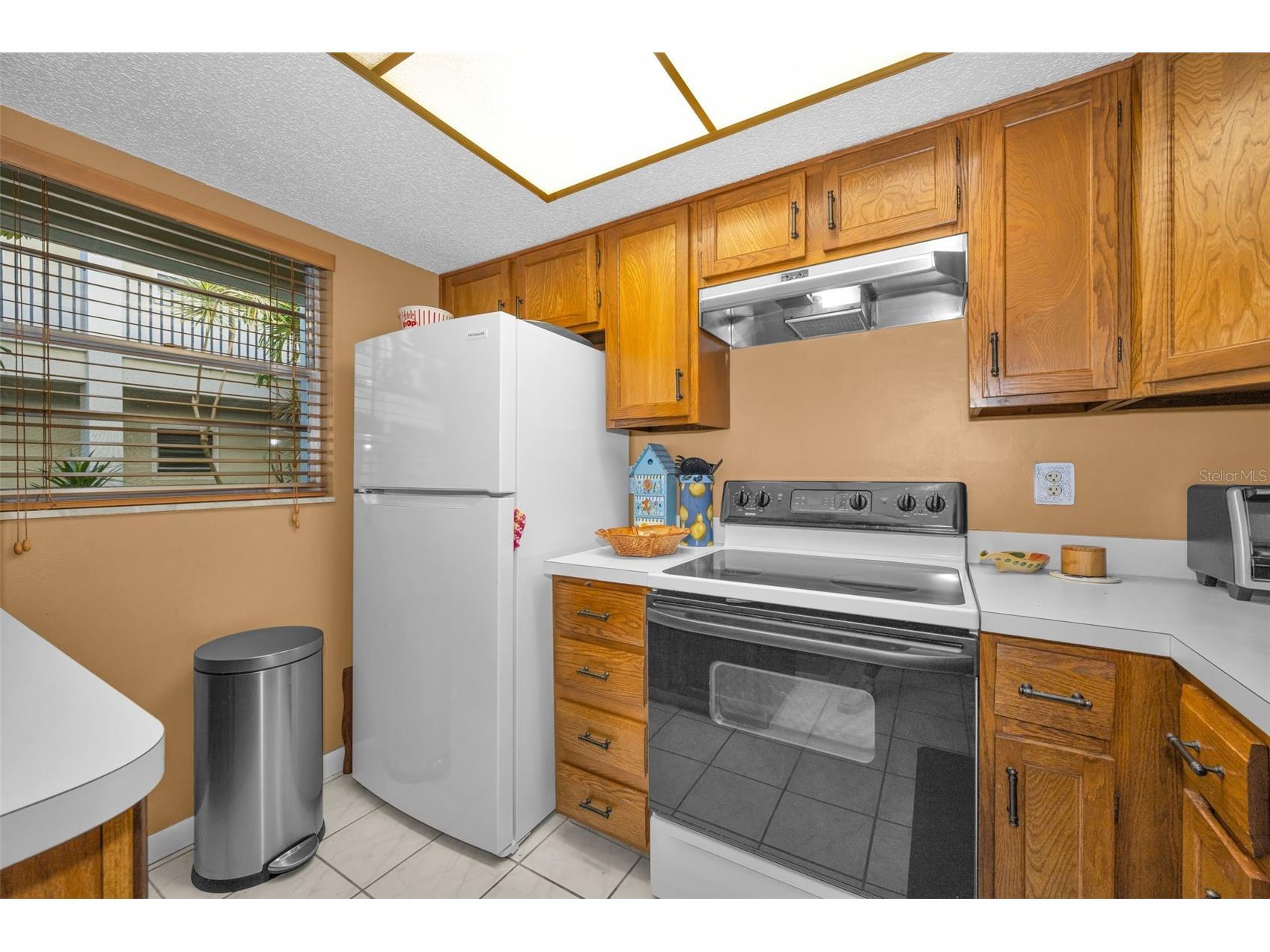 2700 Bayshore Boulevard #6107 Dunedin FL 34698 TB8496806 image13