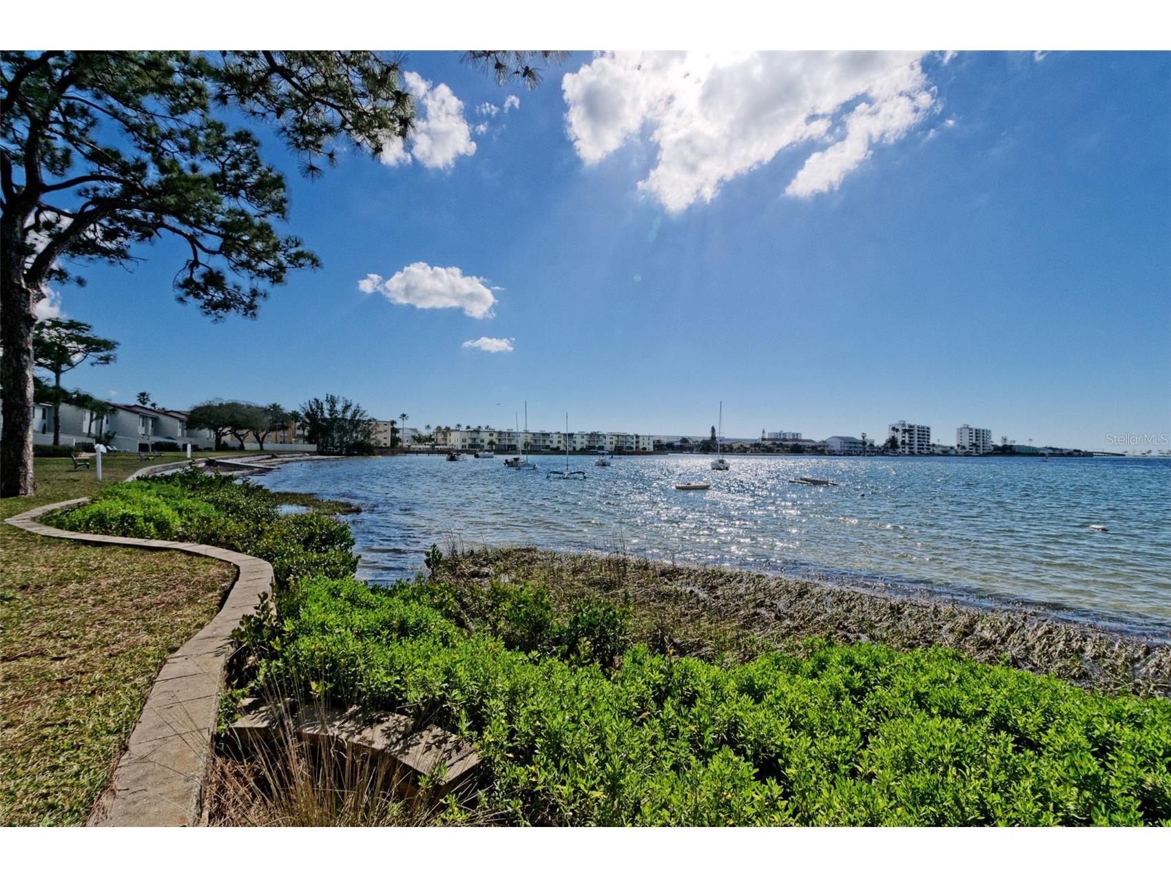 2700 Bayshore Boulevard #6107 Dunedin FL 34698 TB8496806 image40