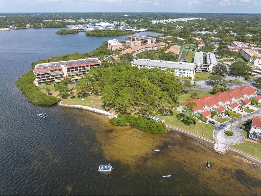 2700 Bayshore Boulevard #9203 Dunedin FL 34698 U8214444 image1