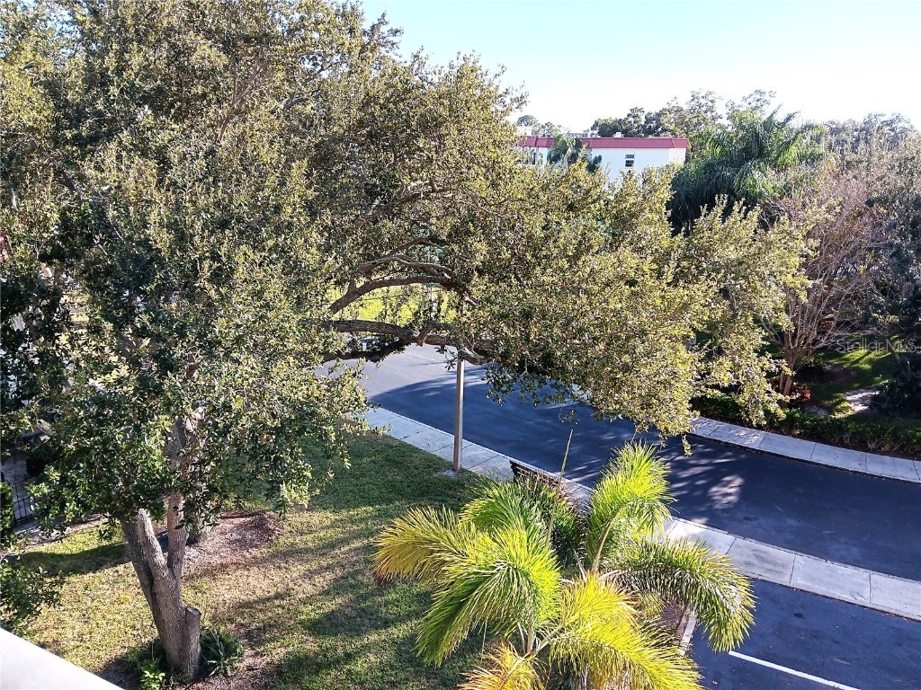 2700 Bayshore Boulevard #9301 Dunedin FL 34698 TB8452892 image25