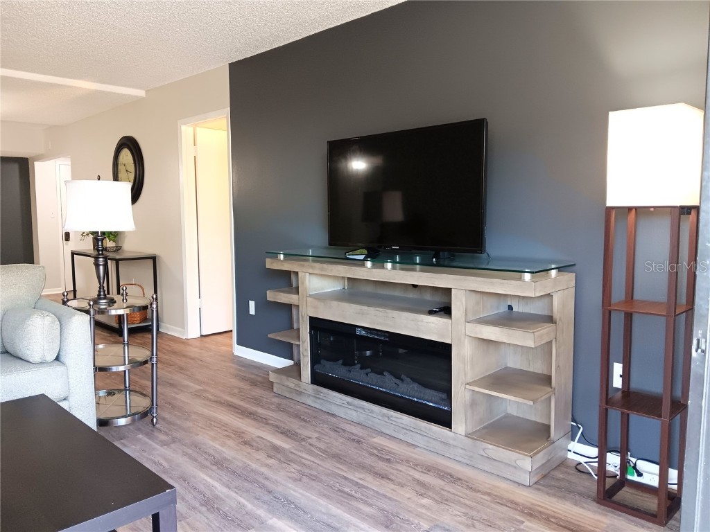 2700 Bayshore Boulevard #9301 Dunedin FL 34698 TB8452892 image3