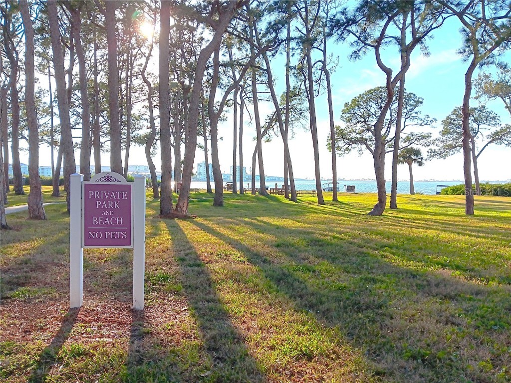 2700 Bayshore Boulevard #9301 Dunedin FL 34698 TB8452892 image31