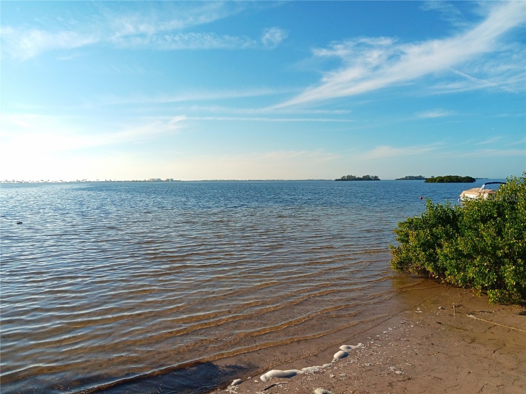 2700 Bayshore Boulevard #9301 Dunedin FL 34698 TB8452892 image34