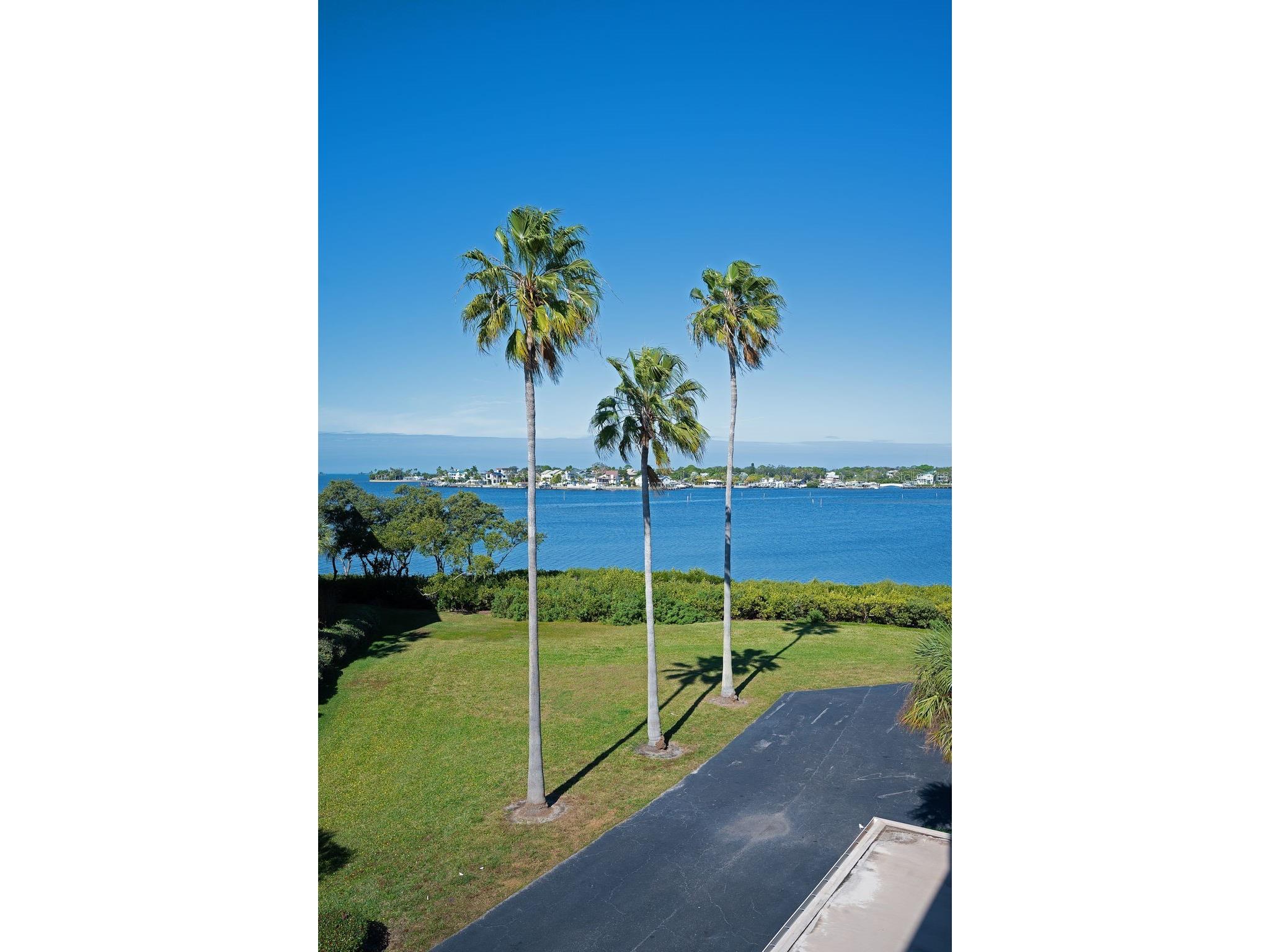 2700 Bayshore Boulevard #9307 Dunedin FL 34698 - BAYOU-INTERCOASTAL -SOUND-GULF TB8458645 image16