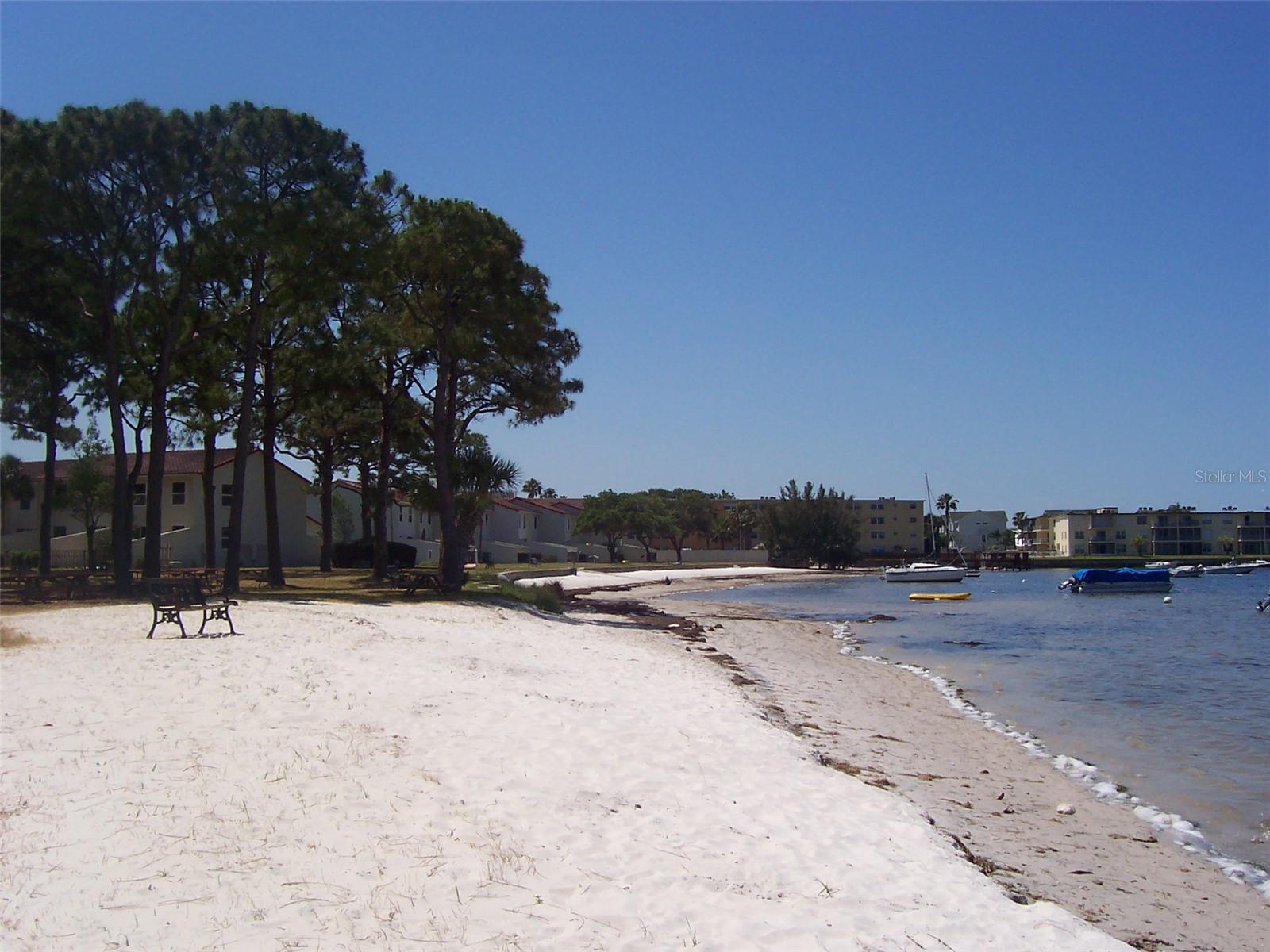 2700 Bayshore Boulevard #9307 Dunedin FL 34698 - BAYOU-INTERCOASTAL -SOUND-GULF TB8458645 image44