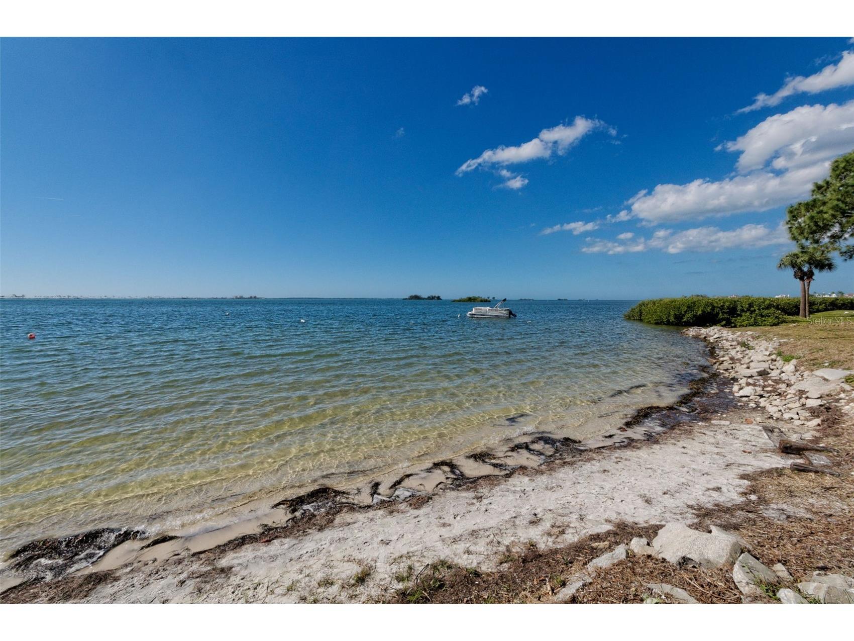 2700 Bayshore Boulevard #9307 Dunedin FL 34698 - BAYOU-INTERCOASTAL -SOUND-GULF TB8458645 image46
