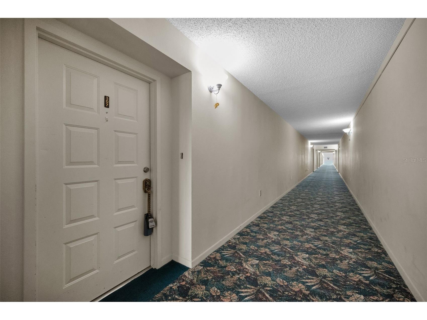 2700 Bayshore Boulevard #9307 Dunedin FL 34698 - BAYOU-INTERCOASTAL -SOUND-GULF TB8458645 image8