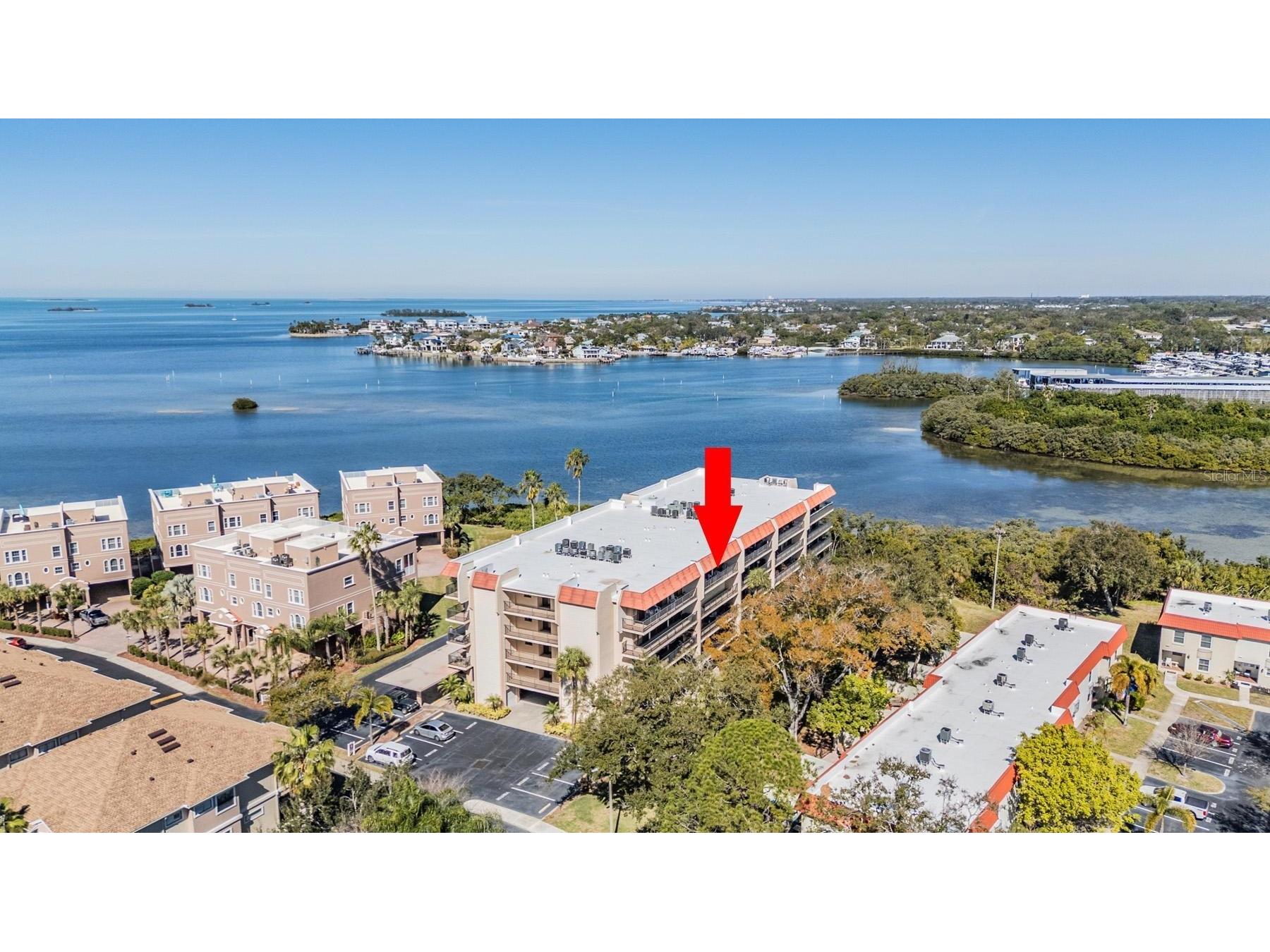 2700 Bayshore Boulevard #9402 Dunedin FL 34698 TB8469997 image1
