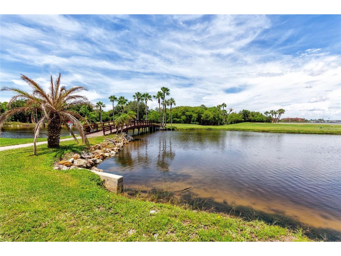 2700 Cove Cay Drive #1-4A Clearwater FL 33760 TB8399611 image41