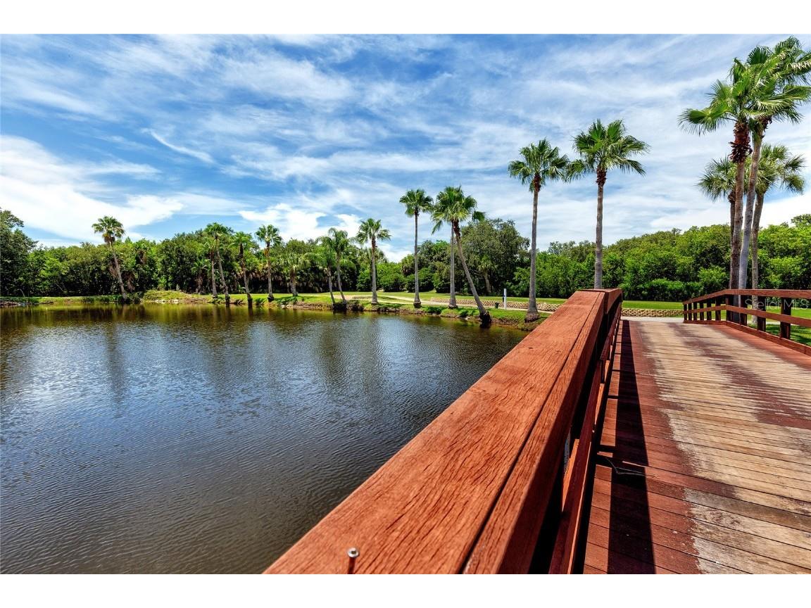 2700 Cove Cay Drive #1-4A Clearwater FL 33760 TB8399611 image42