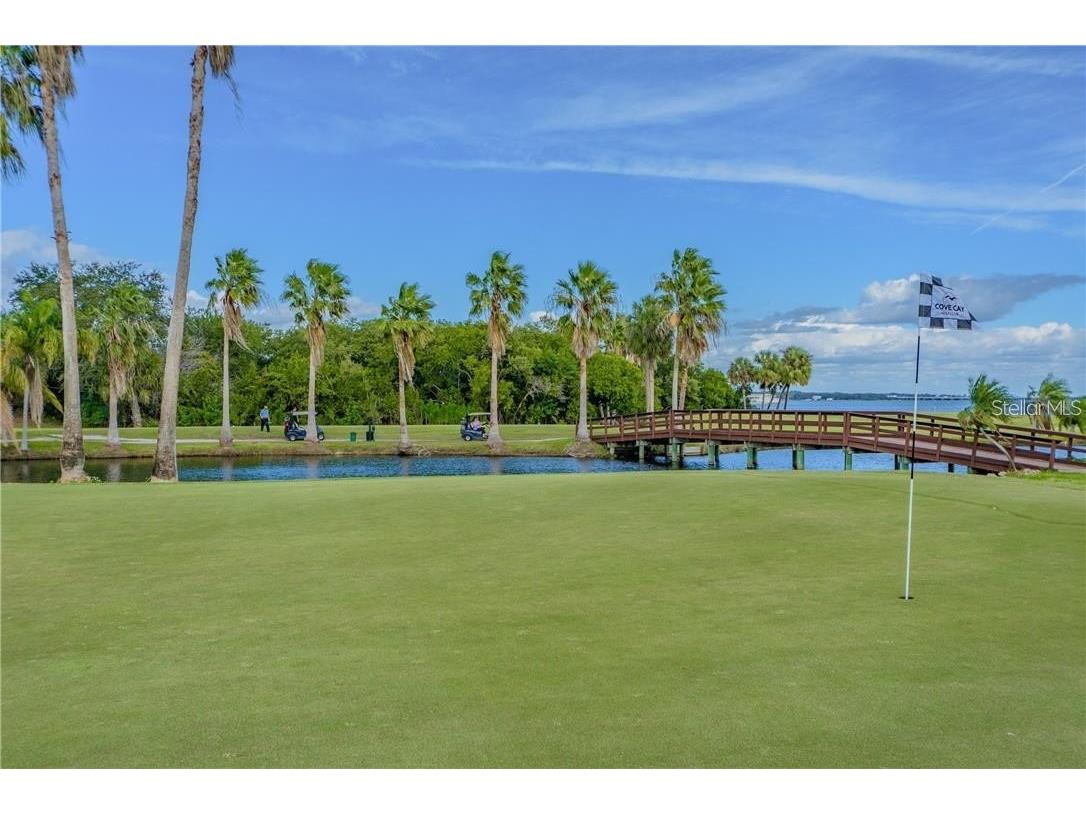 2700 Cove Cay Drive #1-6D Clearwater FL 33760 TB8517715 image28