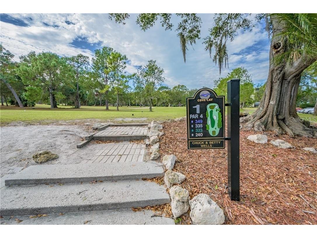 2700 Cove Cay Drive #1-6D Clearwater FL 33760 TB8517715 image34
