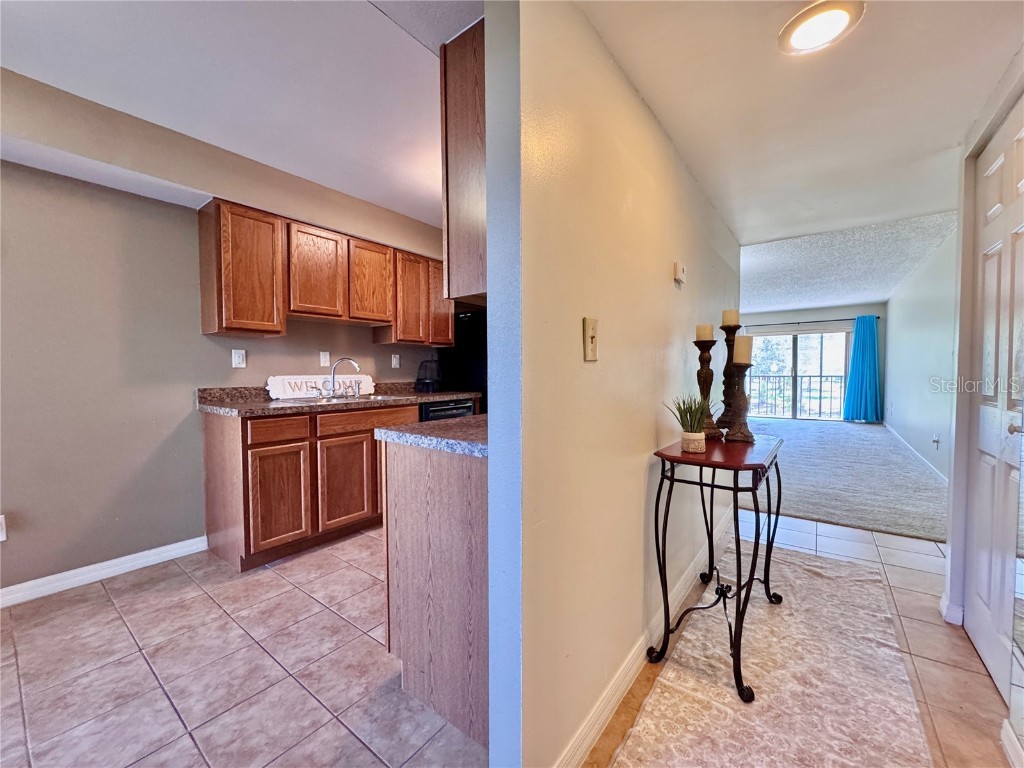 2700 Cove Cay Drive #2B Clearwater FL 33760 TB8415803 image3