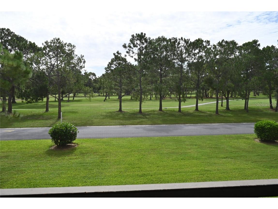 2700 Cove Cay Drive #2D Clearwater FL 33760 TB8405494 image18