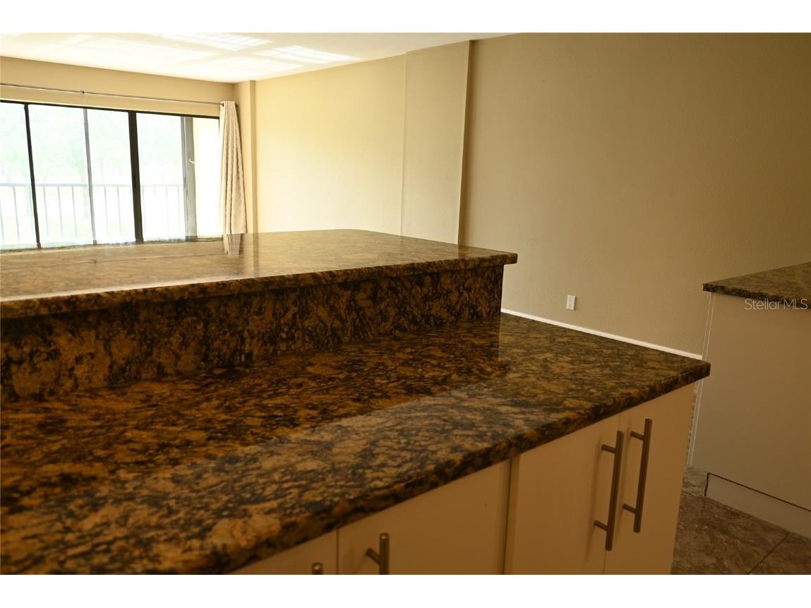 2700 Cove Cay Drive #2D Clearwater FL 33760 TB8405494 image9