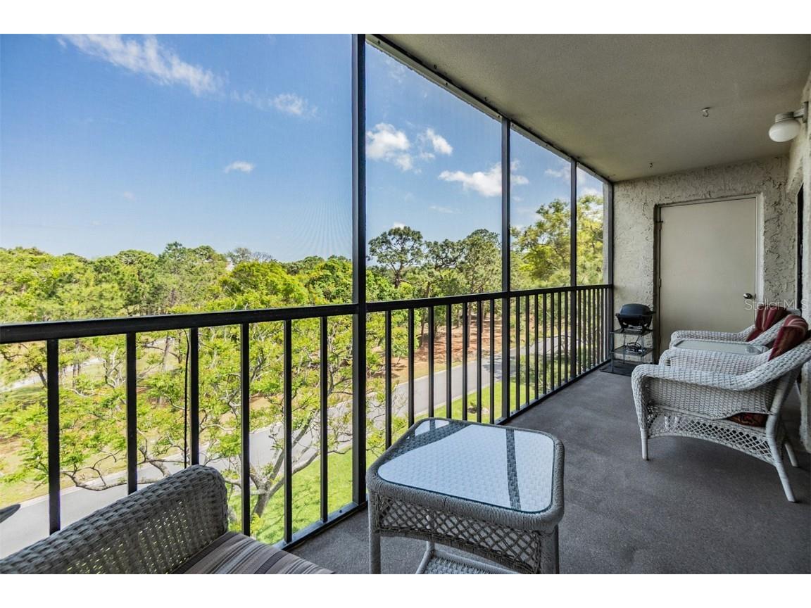 2700 Cove Cay Drive #5G Clearwater FL 33760 - TAMPA BAY TB8443566 image16