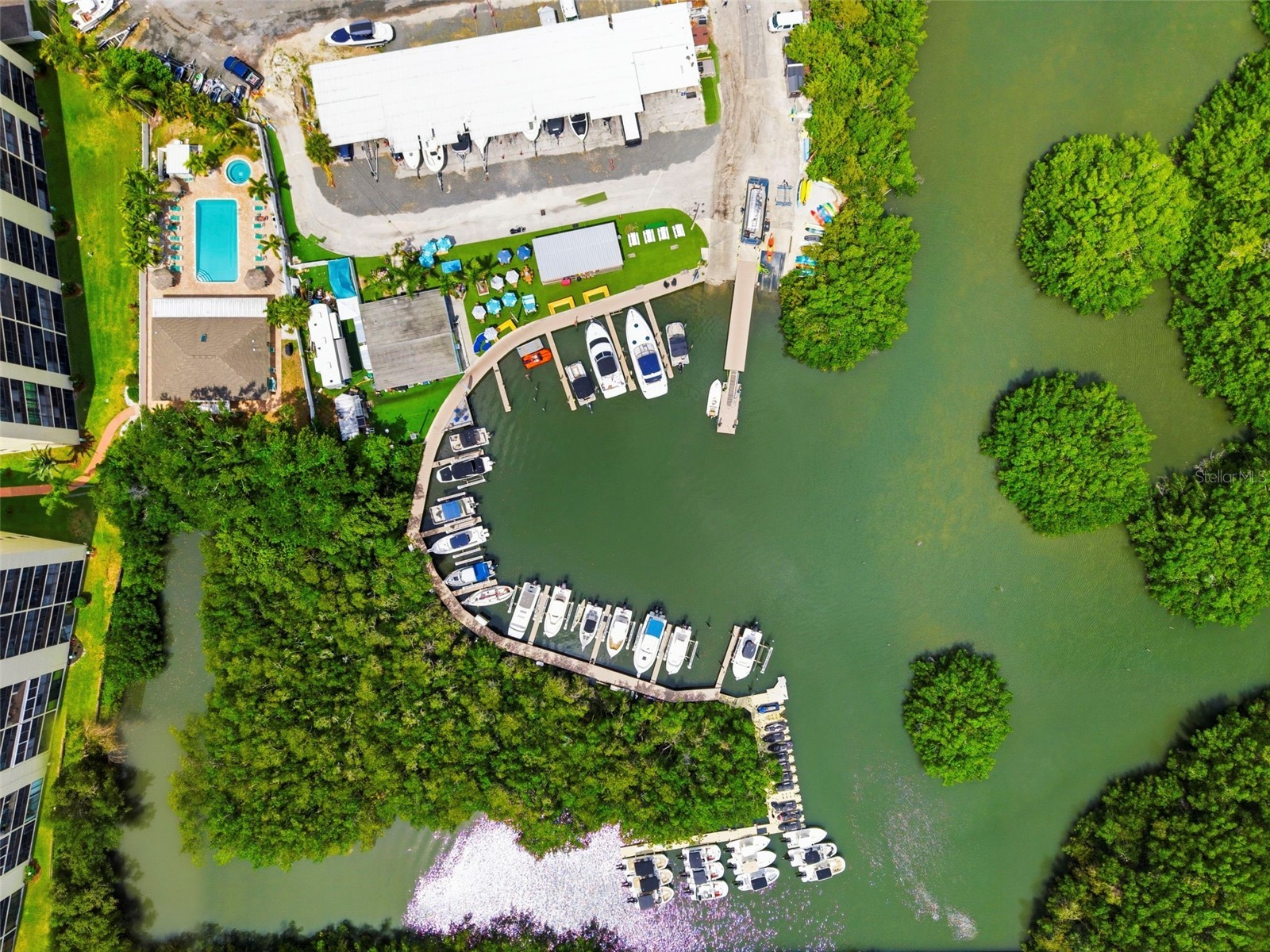 2700 Cove Cay Drive #7A Clearwater FL 33760 - TAMPA BAY TB8504497 image26