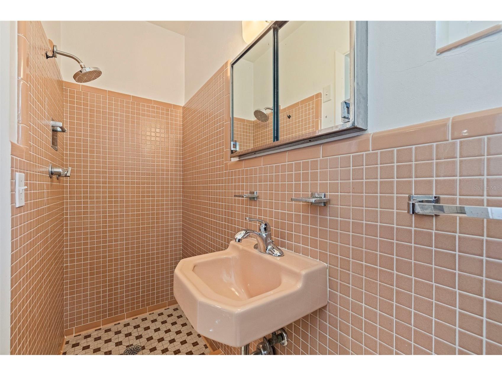2700 Desoto Way S Saint Petersburg FL 33712 TB8510831 image26