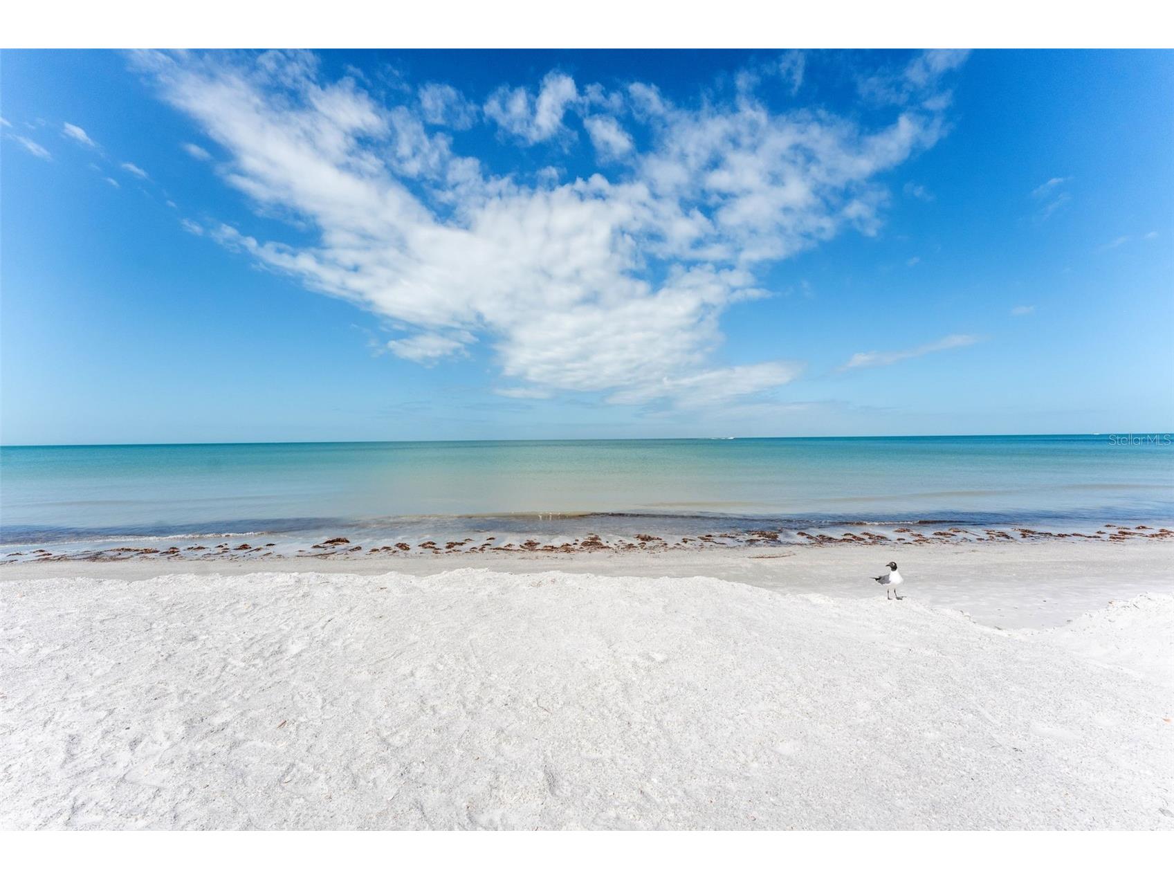2700 Gulf Boulevard #1E Belleair Beach FL 33786 - GULF OF AMERICA TB8481830 image27