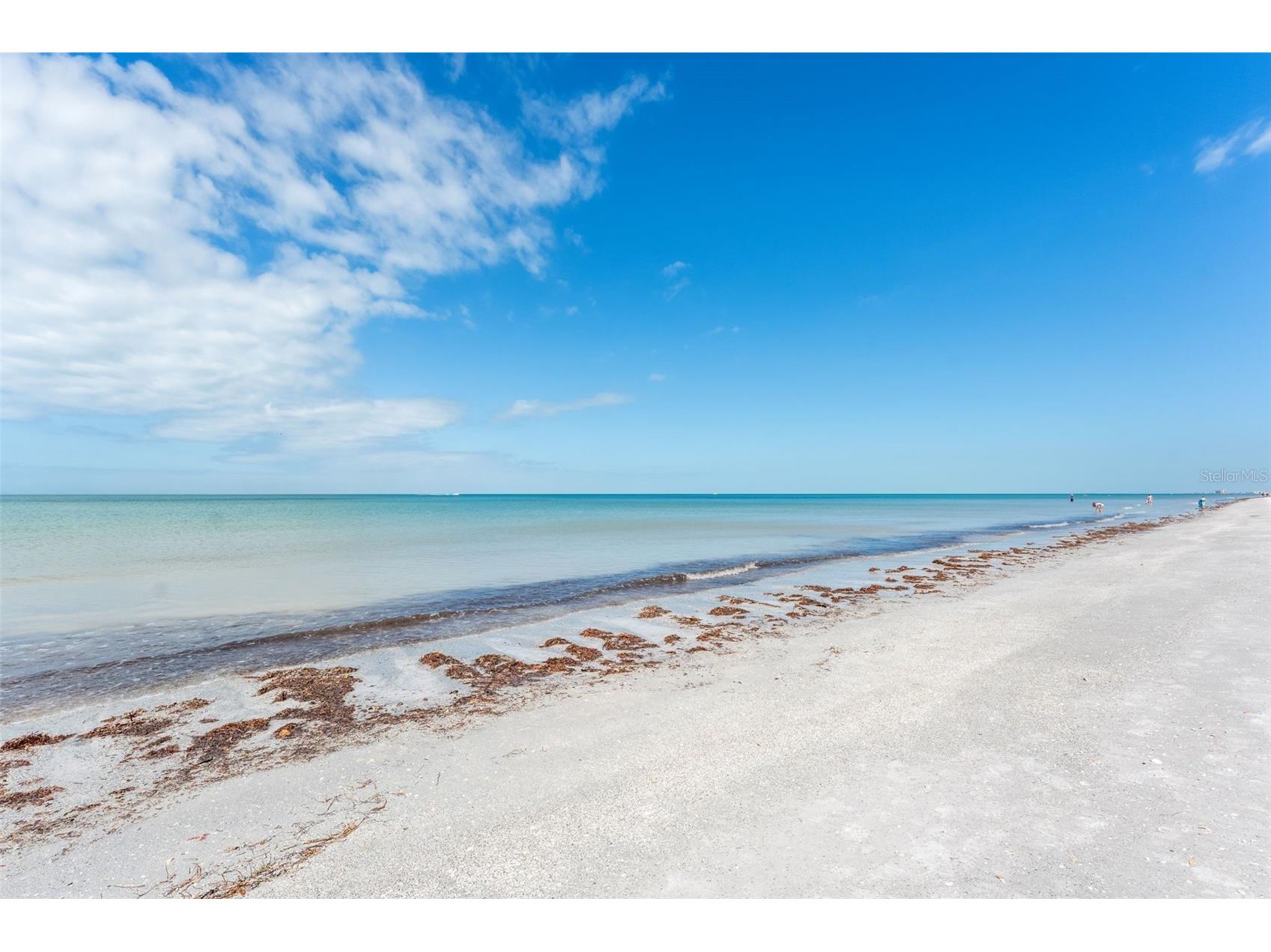 2700 Gulf Boulevard #1E Belleair Beach FL 33786 - GULF OF AMERICA TB8481830 image29
