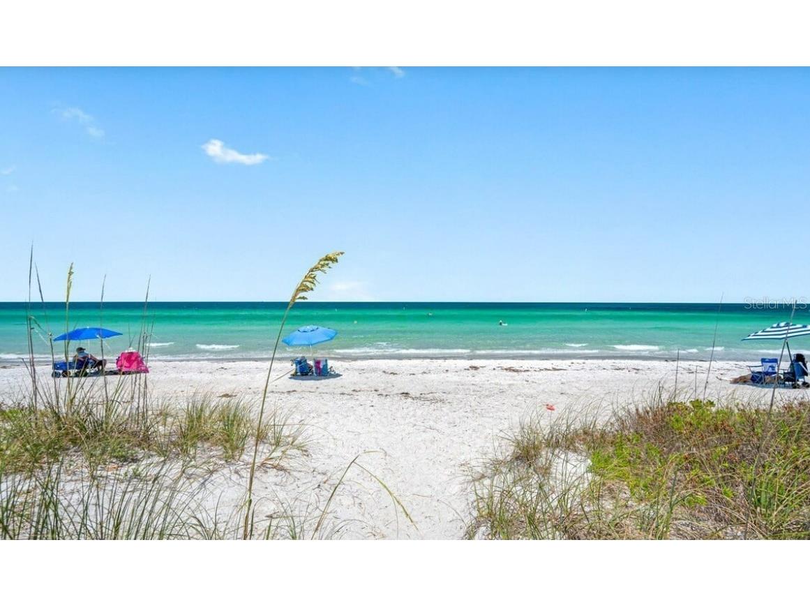 2700 Gulf Boulevard #2 Belleair Beach FL 33786 TB8480423 image13