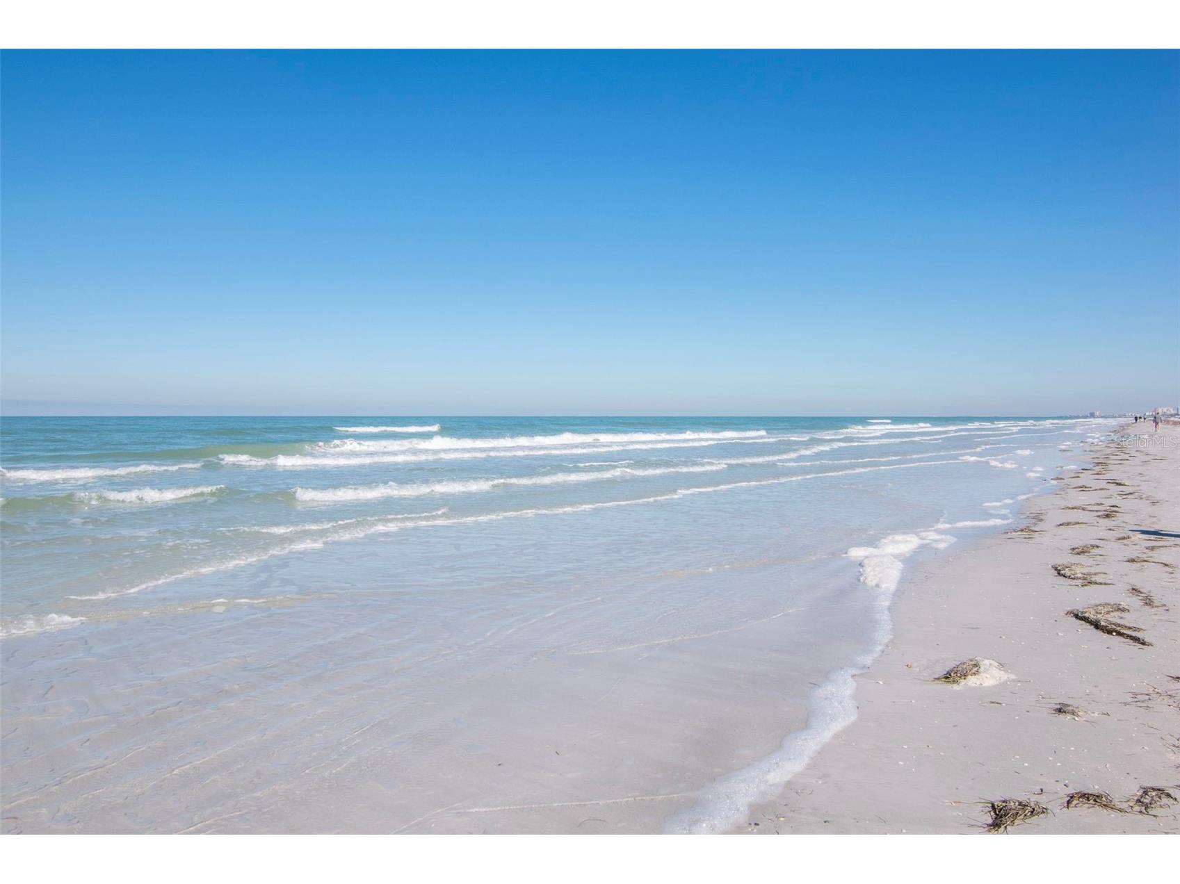 2700 Gulf Boulevard #2W Belleair Beach FL 33786 TB8480723 image36