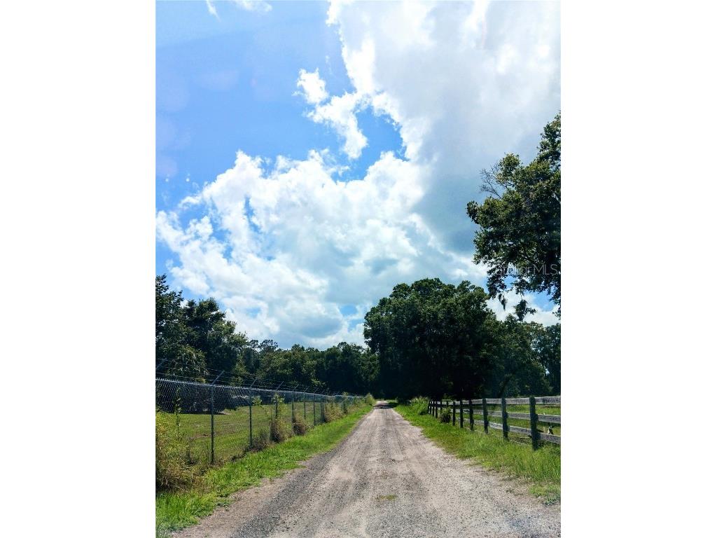 2700 Junction Road Zellwood FL 32798 O6316439 image7