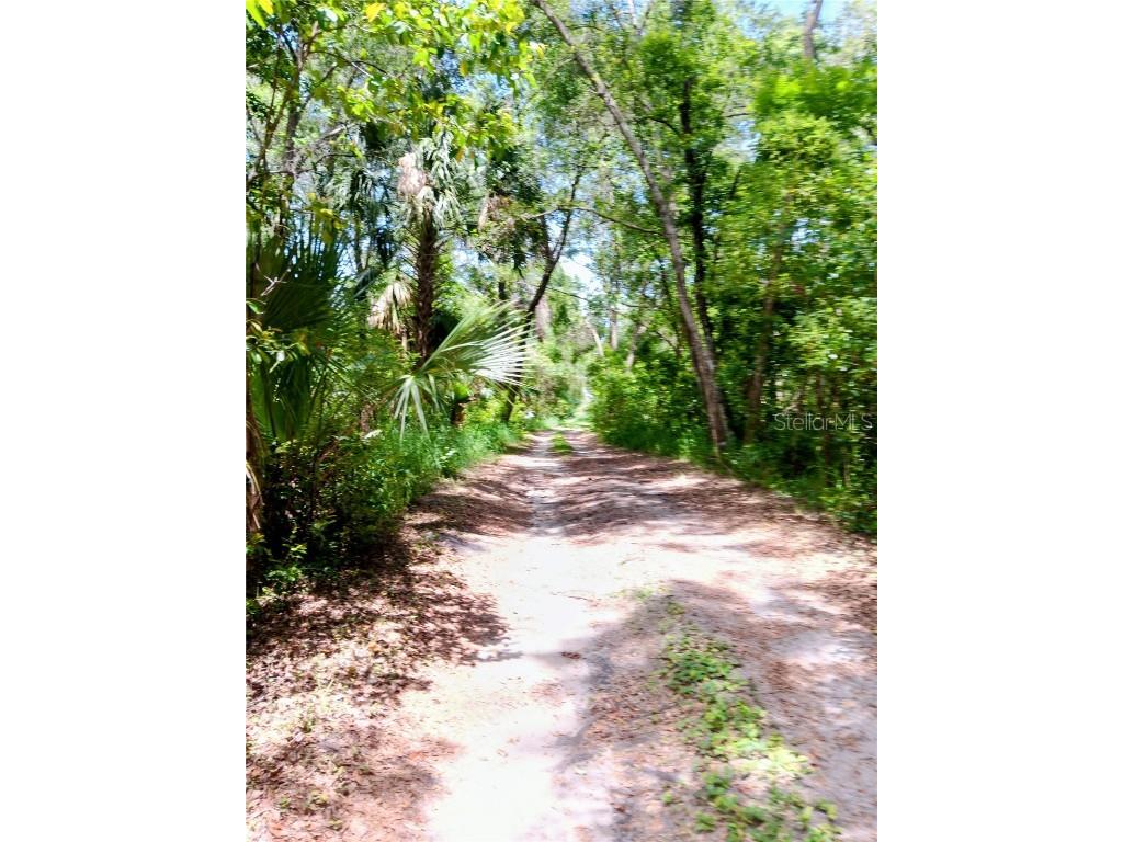 2700 Junction Road Zellwood FL 32798 O6316439 image8