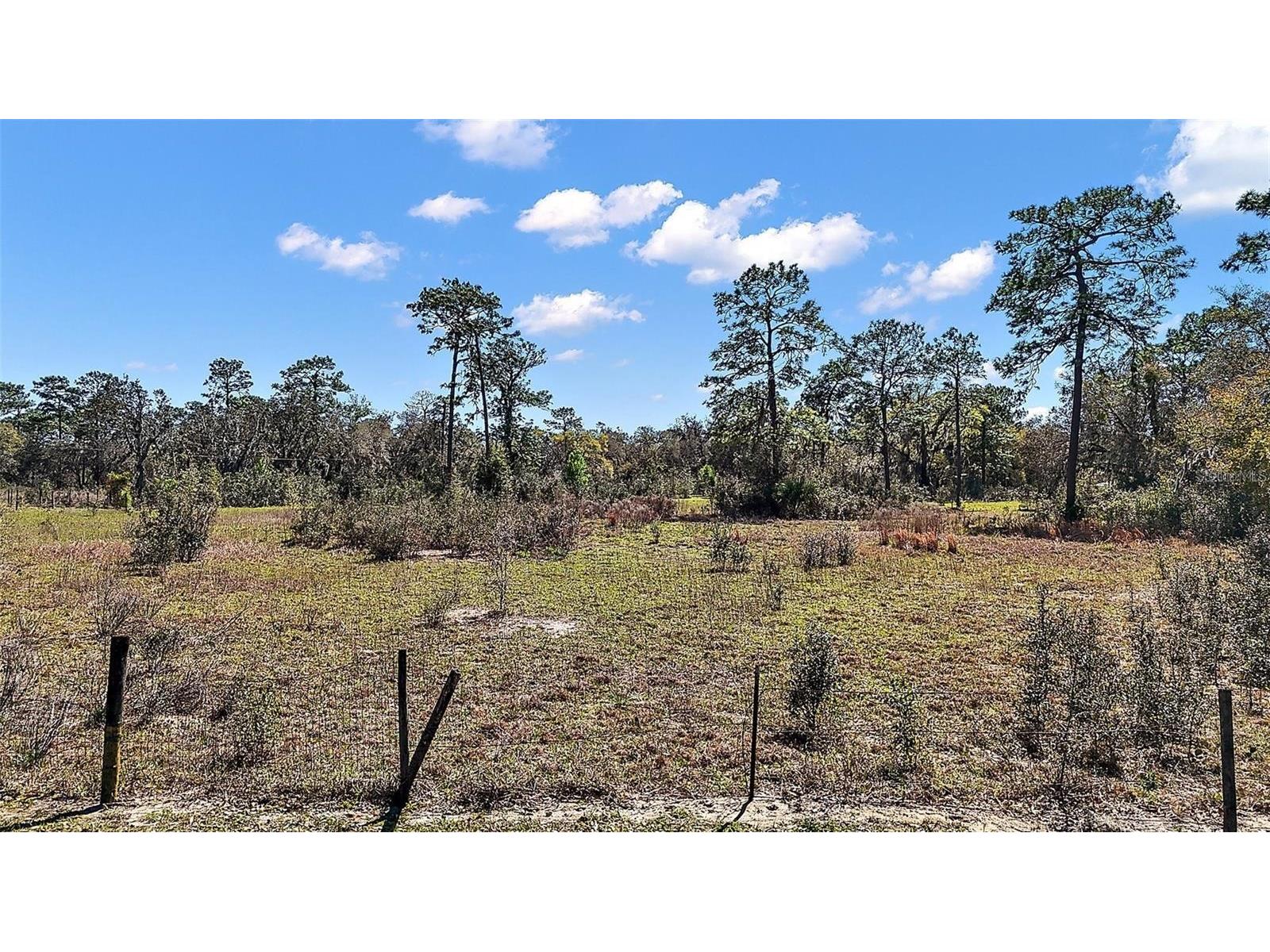 2700 Lent Road Apopka FL 32712 O6380809 image2