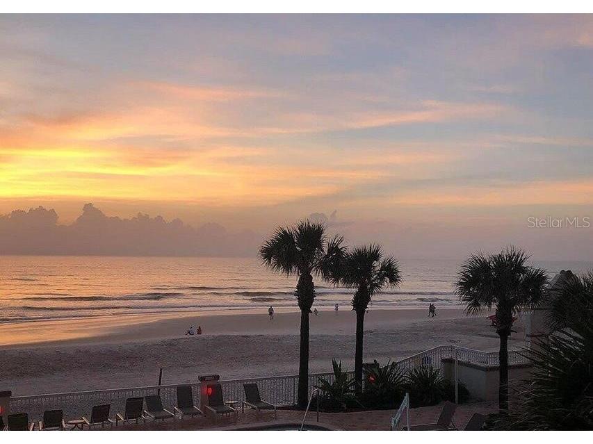 2700 N Atlantic Avenue #507 Daytona Beach FL 32118 V4950174 image44